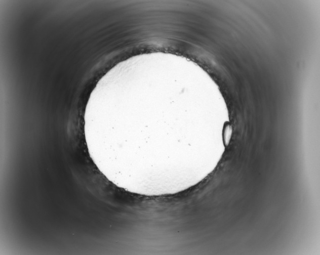 X0000088150776200706111443