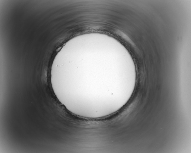 X0000088150777200706111443