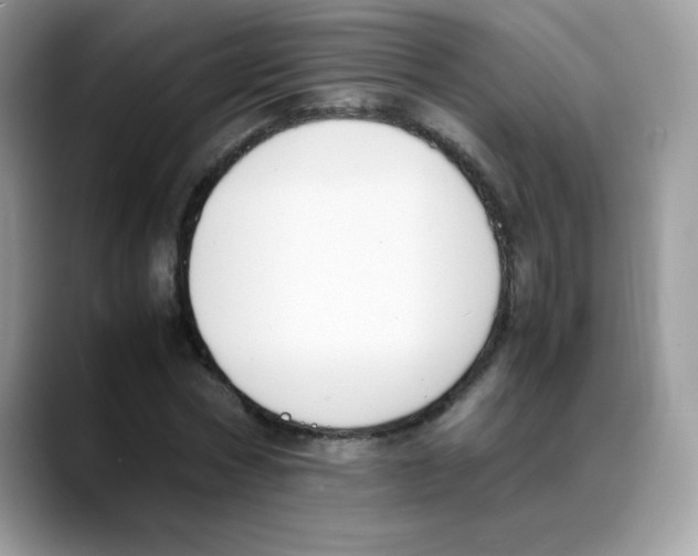 X0000088150778200706111443