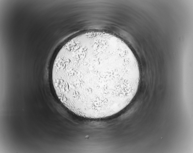 X0000088150779200706111443