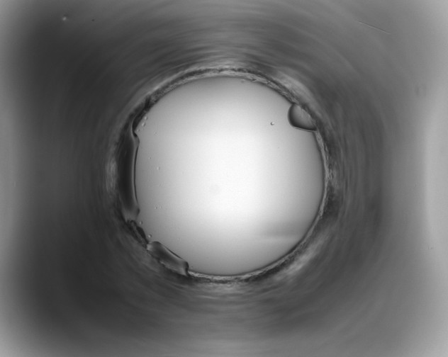 X0000088150781200706111443