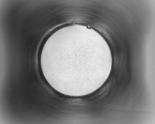 X0000088150784200706111443