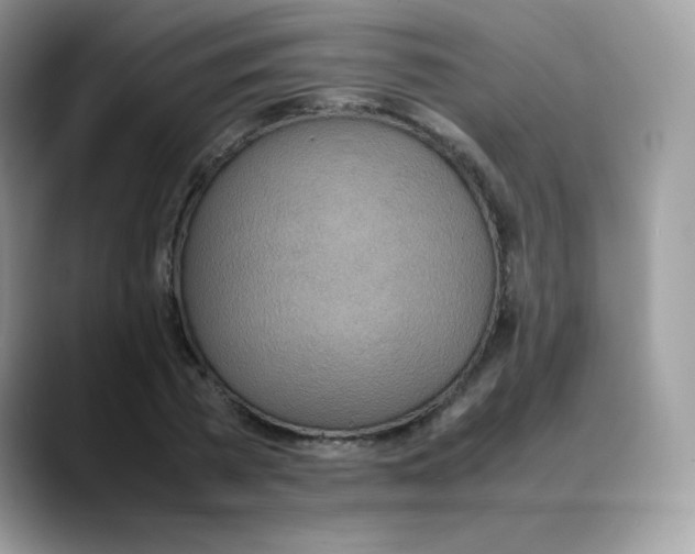 X0000088150785200706111443