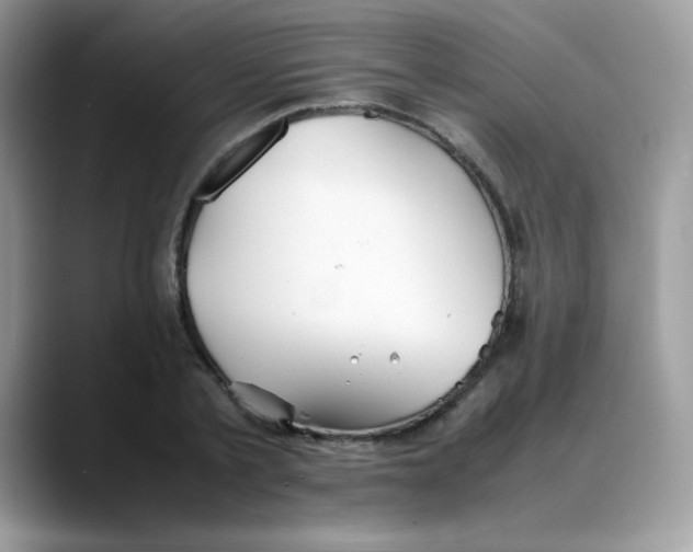 X0000088150789200706111442