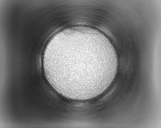 X0000088150790200706111442