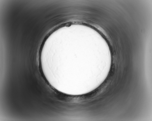 X0000088150791200706111442