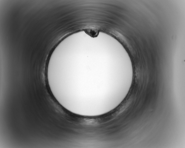 X0000088150794200706111442