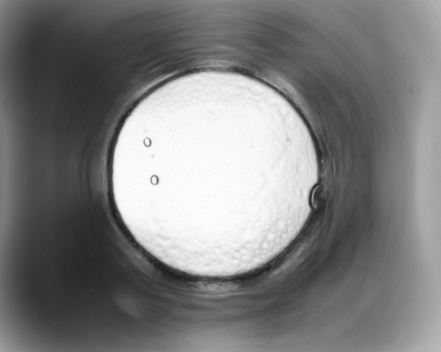 X0000088150795200706111442