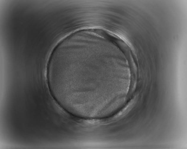 X0000088150797200706111442