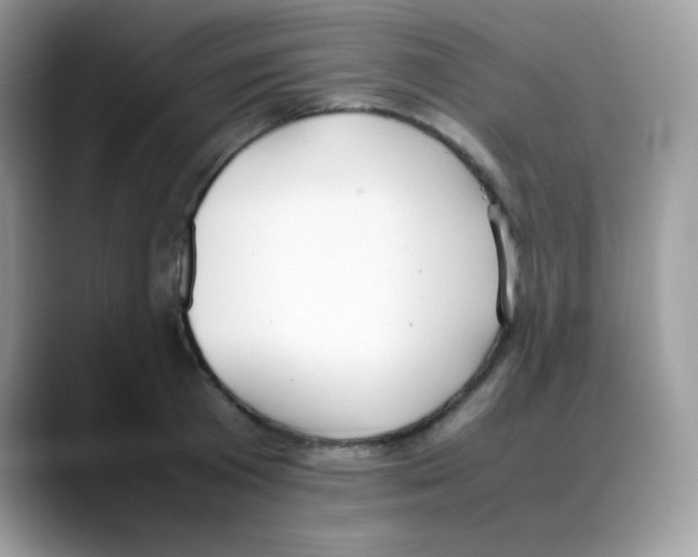 X0000088150801200706111442