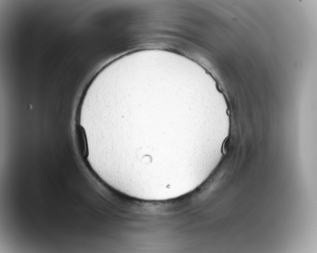 X0000088150803200706111442