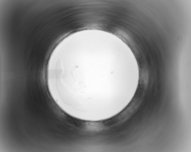 X0000088150804200706111442