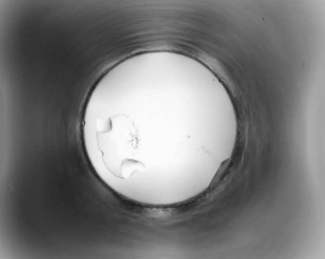 X0000088150805200706111442