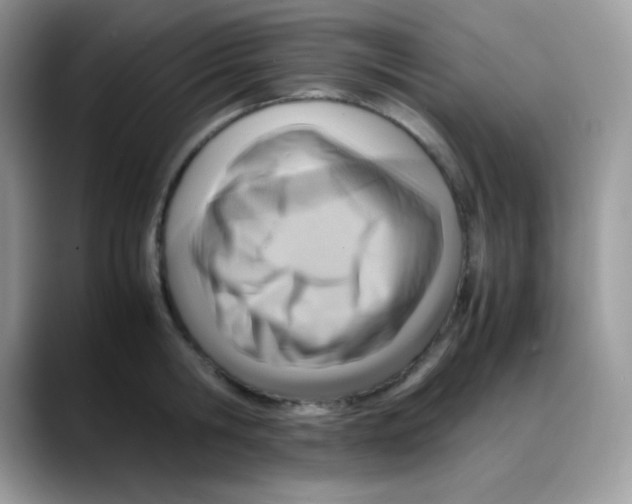 X0000088150806200706111442