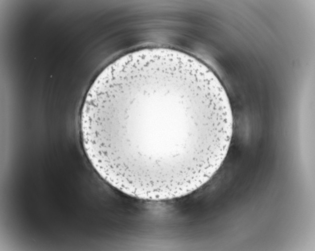 X0000088150807200706111442