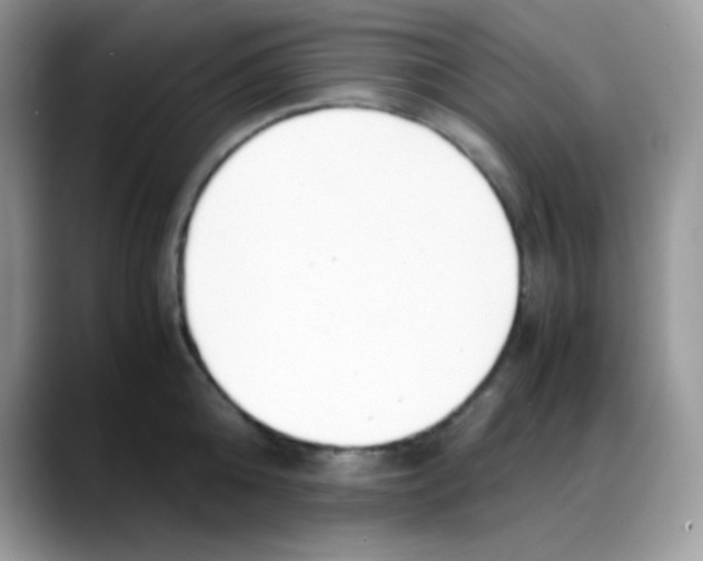 X0000088150808200706111442