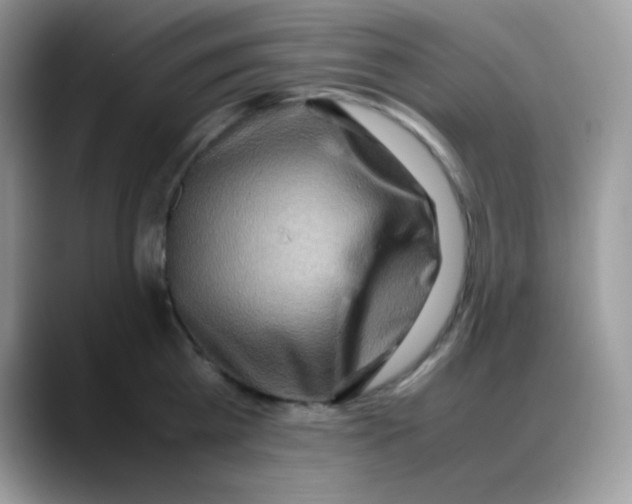 X0000088150809200706111442