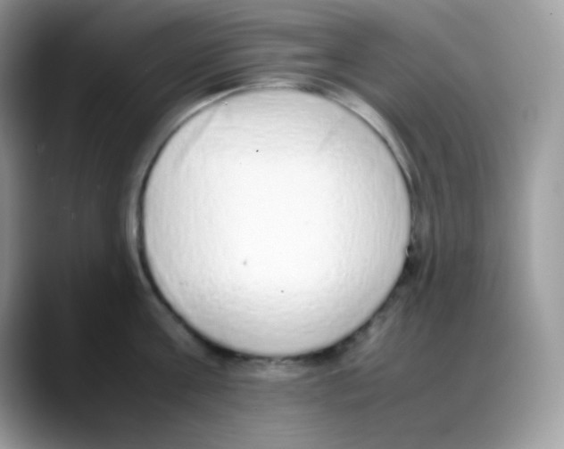 X0000088150811200706111442