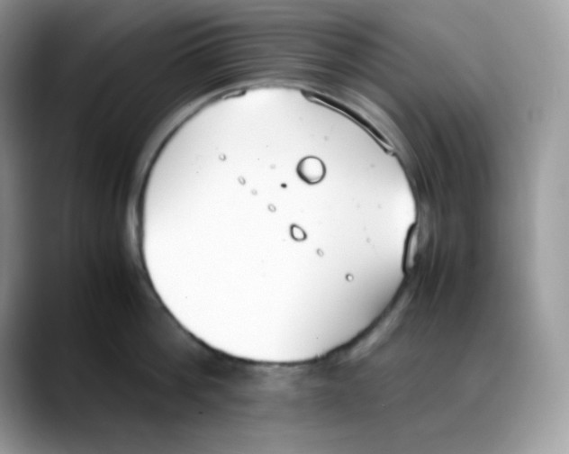 X0000088150812200706111442