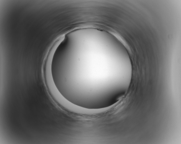 X0000088150813200706111442