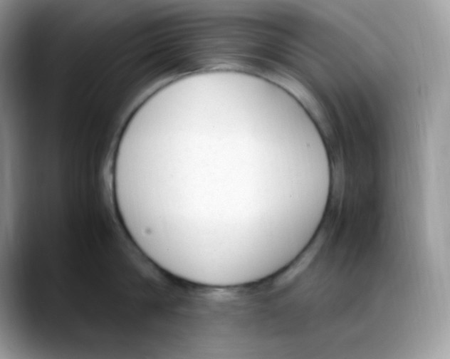 X0000088150814200706111442