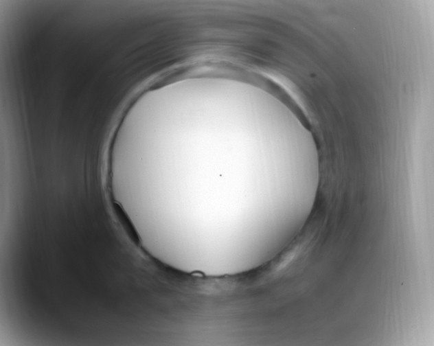 X0000088150815200706111442