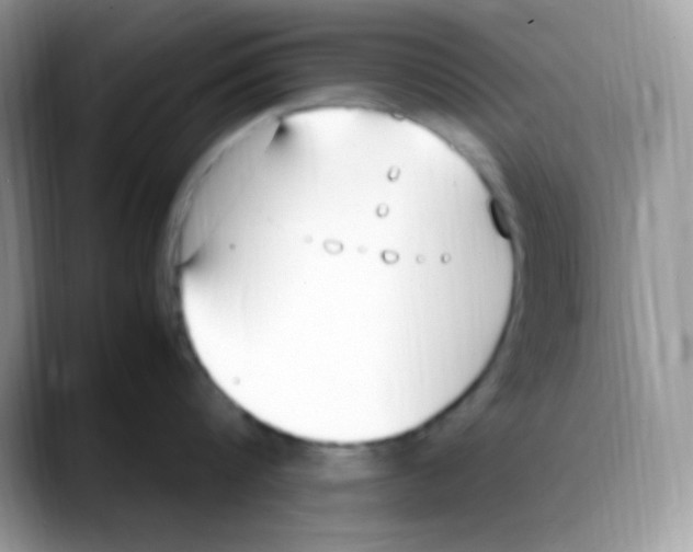 X0000088150816200706111442