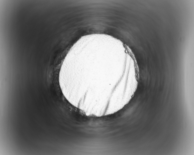 X0000088150818200706111442