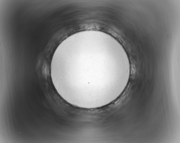 X0000088150820200706111442