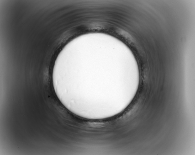 X0000088150825200706111442