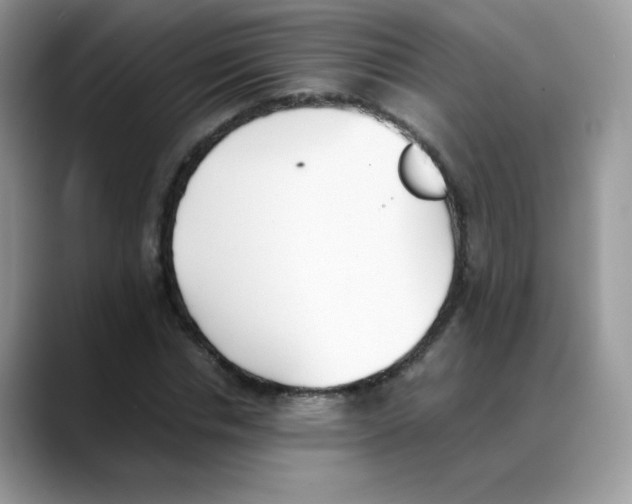 X0000088150826200706111442