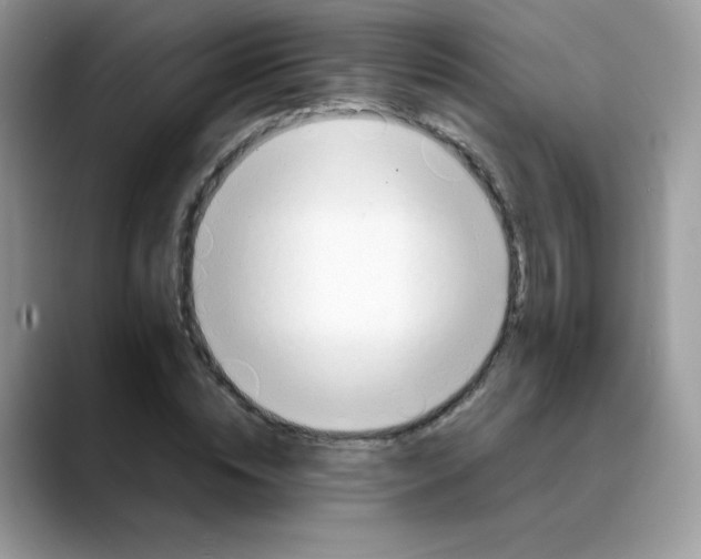 X0000088150828200706111442