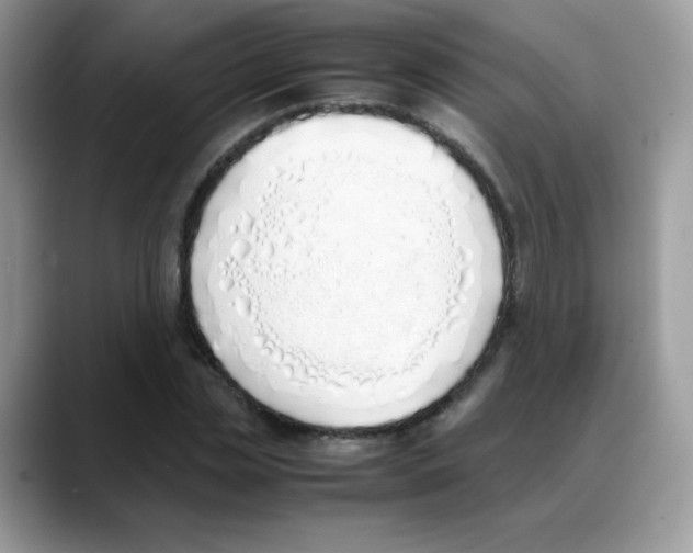 X0000088150829200706111442