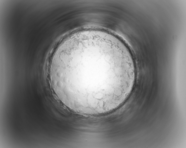 X0000088150832200706111442