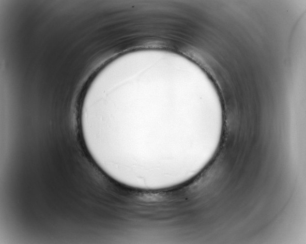 X0000088150835200706111442