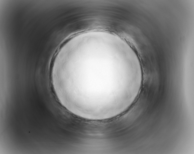 X0000088150836200706111442