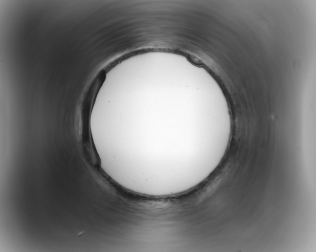 X0000088150838200706111442