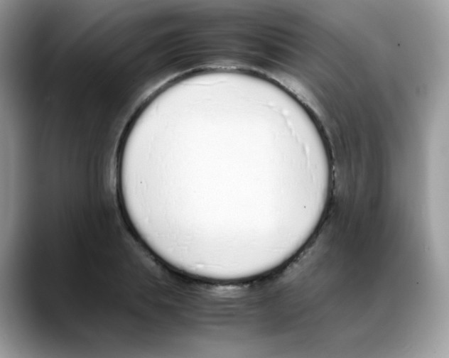 X0000088150839200706111442