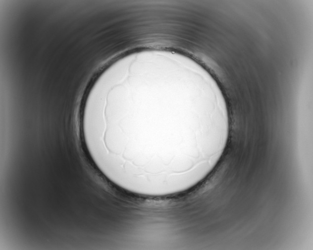 X0000088150840200706111442