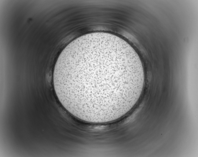 X0000088150841200706111442