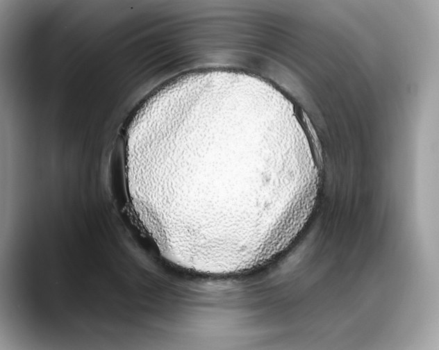 X0000088150842200706111442