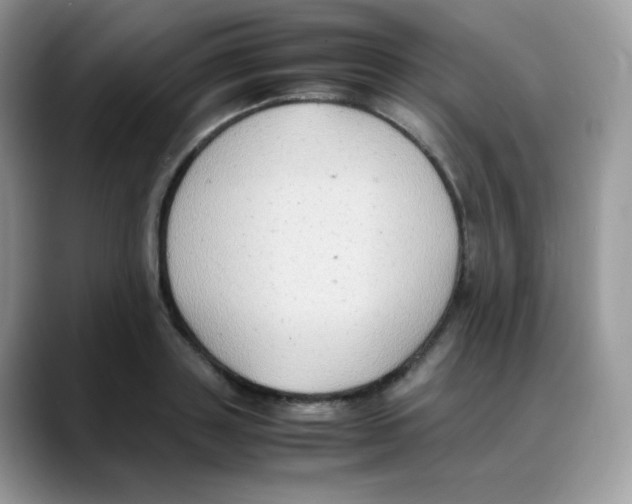 X0000088150843200706111442