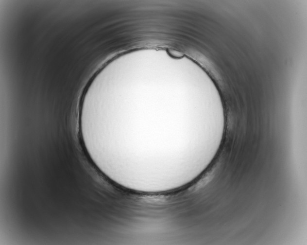 X0000088150844200706111442