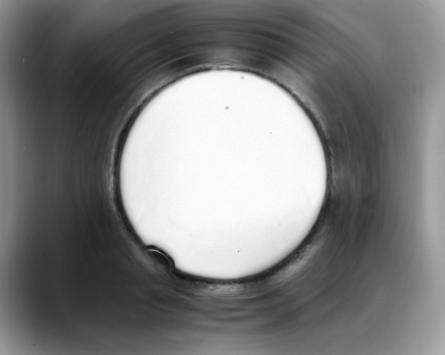 X0000088150845200706111442