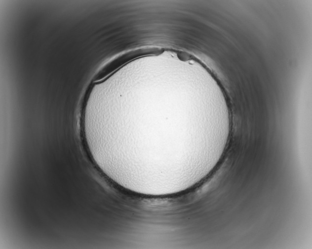 X0000088150846200706111442