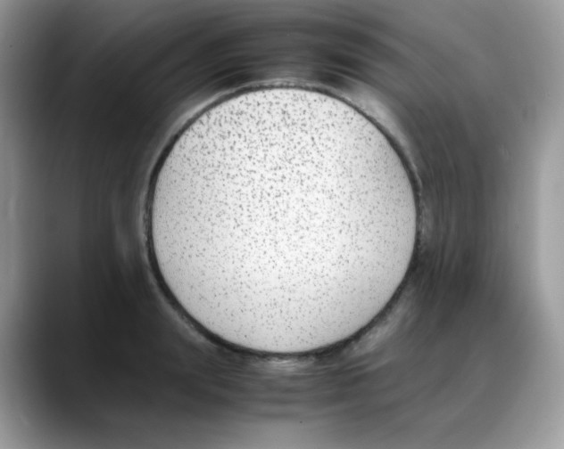 X0000088150847200706111442