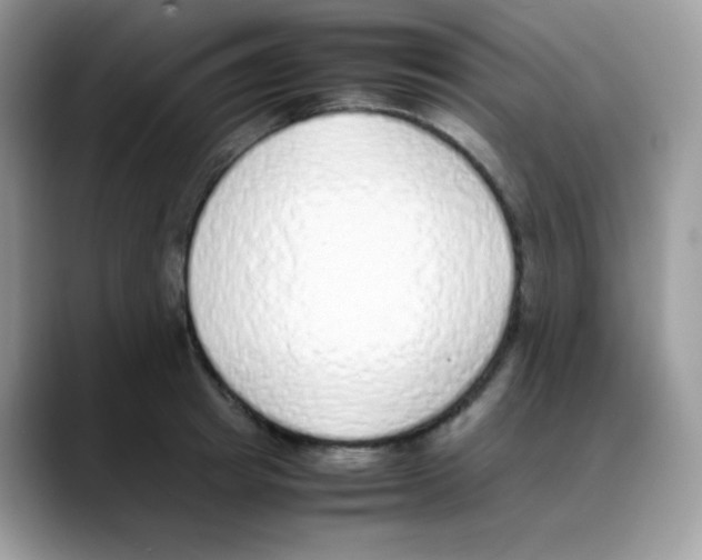 X0000088150849200706111442