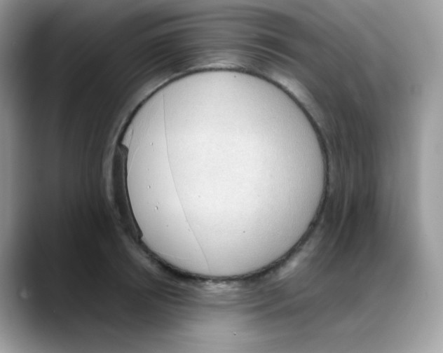 X0000088150850200706111442