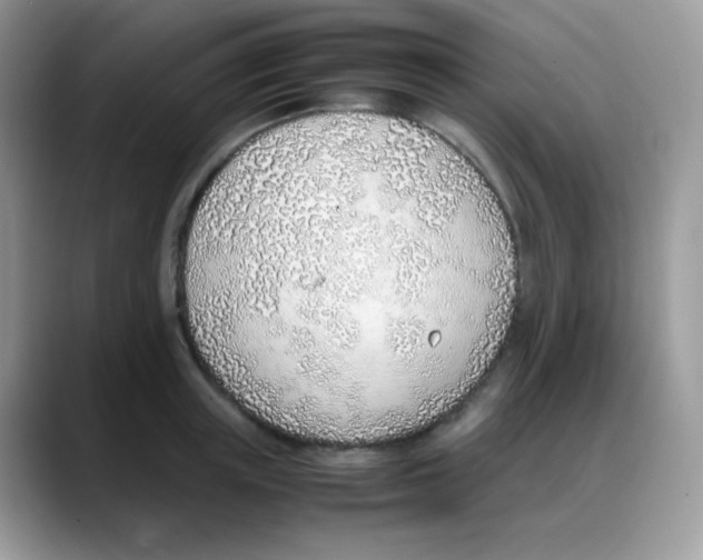 X0000088150851200706111442