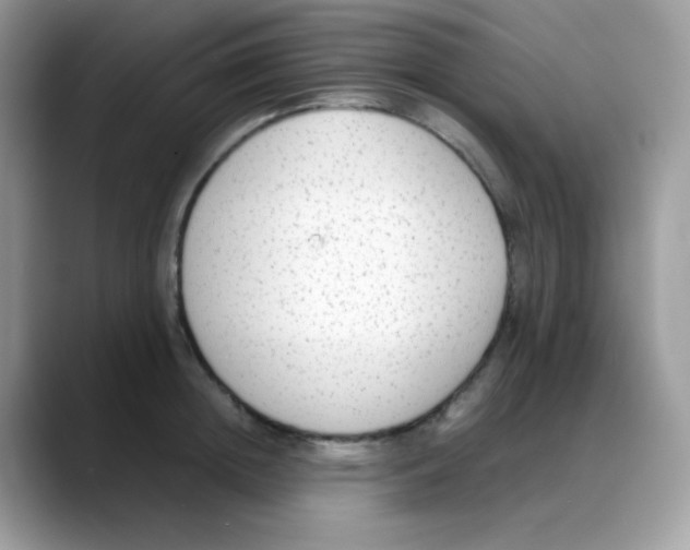 X0000088150852200706111442